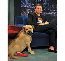 He shaved a mohawk to his dog. He stated that he h He shaved a mohawk to his dog. He stated that he had done it only for the summer but now he became habitual of seeing him in Mohawk that's why he shav